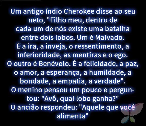 WAGNER SIQUEIRA tweet media