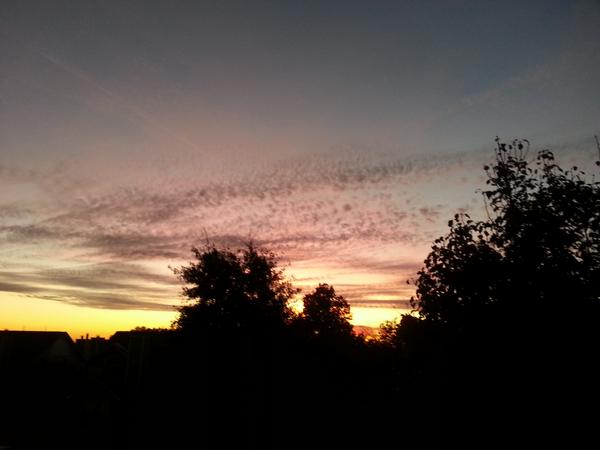 WWaldron12's tweet photo. Hurried home from  church to snag this picture. Just wanted to share the masterpiece of a sunset painted by our God. http://t.co/KqyjHPYjaL