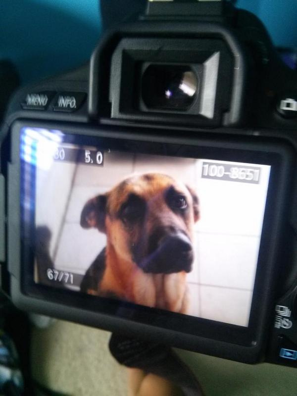 thejohnhoang's tweet image. When people suggest me taking pictures of my food