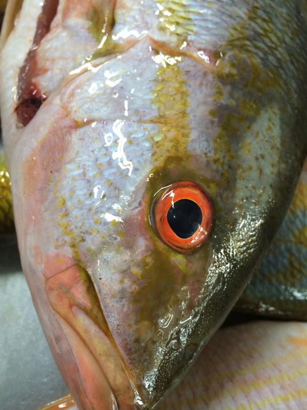 La Marea Eat & Drink (@eatdrink) on Twitter photo 