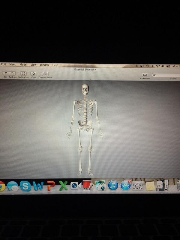 samfullerxo's tweet photo. COOLEST THING IVE EVER DOWNLOADED #essentialskeleton4 http://t.co/RiXIYcKz4D