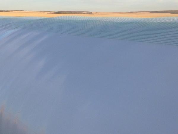 #balewrapbags cleaned up a year old bag of oats yesterday (January cars finally came)2 holes ,no spoilage,