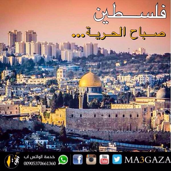 DotQuds's tweet photo. صباح الحرية...
#القدس #الأقصى #فلسطين http://t.co/SA5F3HbMLm