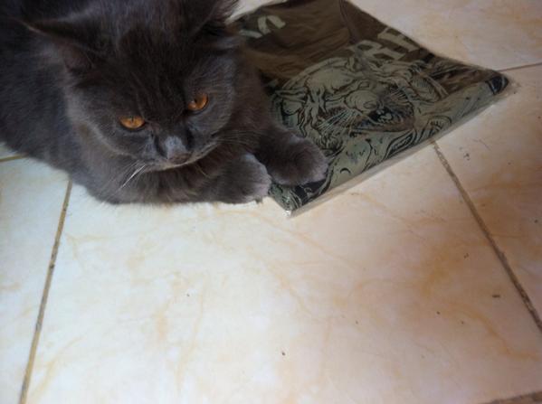 RUSERAT.co tweet media