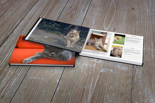 Look_Books's tweet image. Your Cat can live forever in print, with this Photographic Anthology Campaign kickstarter.com/projects/20252… @backercamp