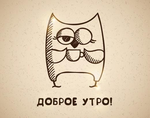datser's tweet photo. #морнинг http://t.co/o52y1O1JFR