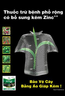 bayervietnam's tweet photo. ANTRACOL 70WP từ Bayer - Thuoc tru benh phổ rộng trên cây ăn quả, rau màu và lúa. http://t.co/uXAN0pwiSd http://t.co/EabhWe2VgB