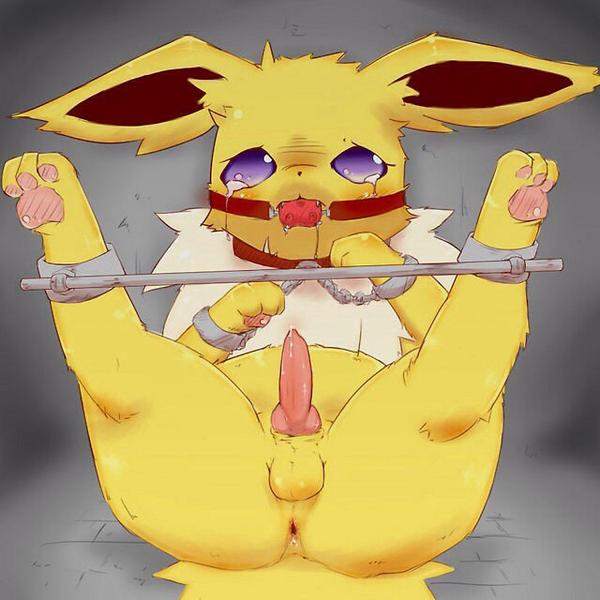 OrionEnzo's tweet photo. He is a bit tied up at the moment can you try again later? #yiff #pokemon #gay #yellow #bondage #nsfw #gag #present http://t.co/SNIcbzpXsk