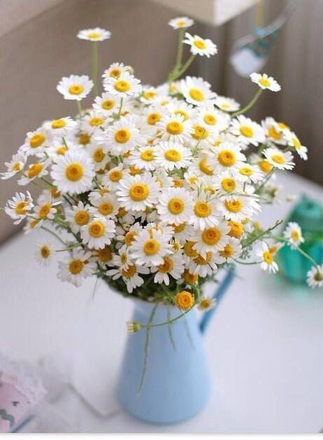 KADİR (@kadir_20_) on Twitter photo 