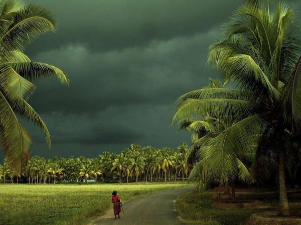 PoshVine's tweet photo. Explore Kerala in its truest sense! Contact us for d most amazing things to do. @ShashiTharoor http://t.co/vq2Rxa43zX http://t.co/XN9DU1SYk0