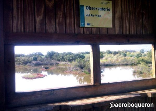 aeroboqueron's tweet photo. Paraje natural Desembocadura del Guadalhorce. Grata sorpresa muy cerca de casa. #Málaga http://t.co/nPJhw9SyZi