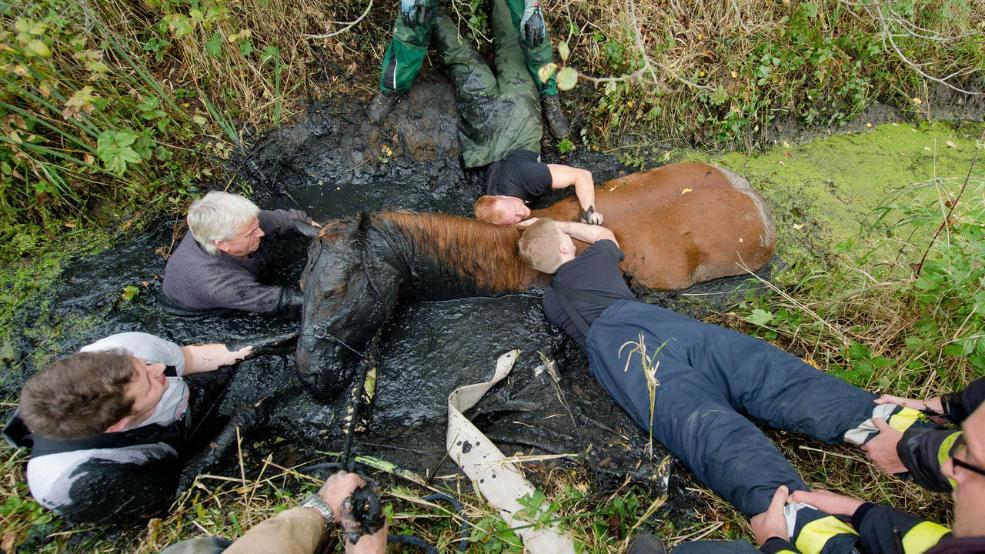 Embedded image permalink