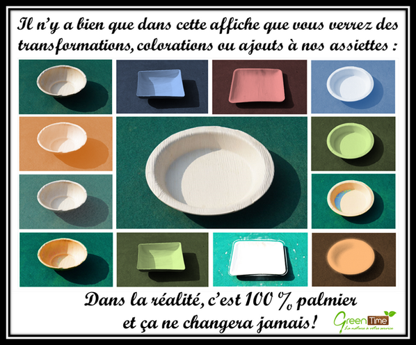 Assiette 100% palmier, c'est par ici : greentime.fr