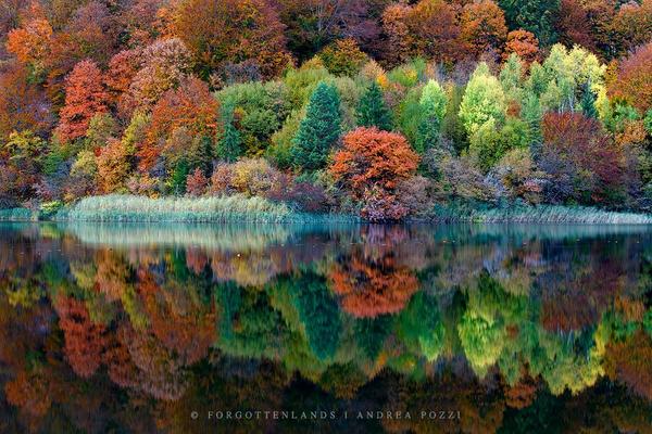 Gabriele_Corno's tweet photo. Fall @ Plitvice Lakes by A.Pozzi
Via  @DonRamer @Cynthiapoet @DrEdwardG @booksthatmatter @AkanshaGautam_ @vinnyboles http://t.co/bV14X1rB4y