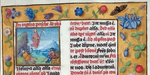 Embedded image permalink