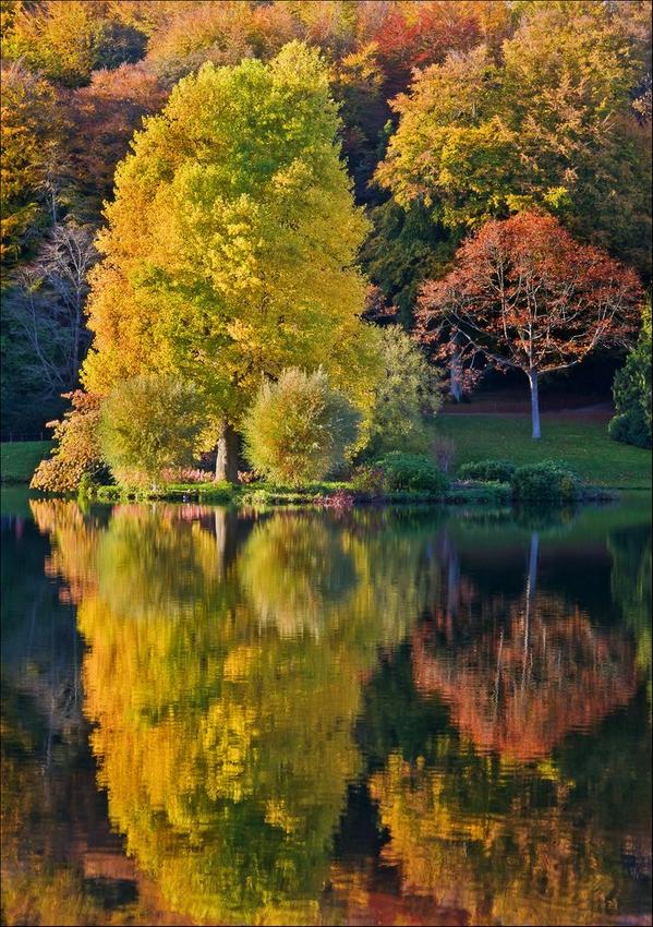 Can't get enough of autumn colours? Check out pinterest.com/rhshome/beauti… and your thirst will be quenched!