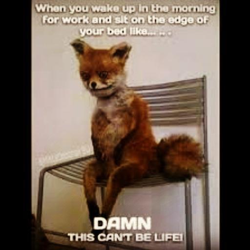 MsSweetThang99's tweet photo. #Them#Damn#Mornins#Though http://t.co/hVKSLmNZHI
