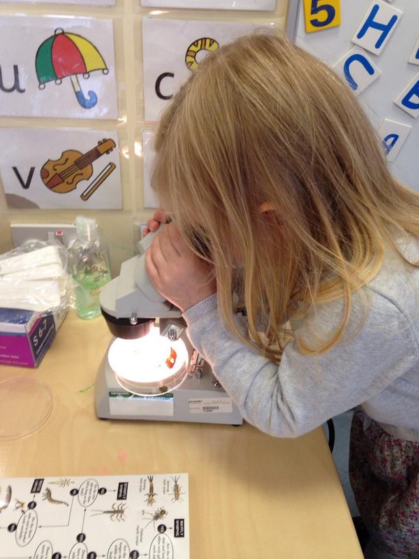 cargilleran's tweet image. A budding young scientist taking part in our World of Water workshop at a playschool this morning #dkitscience #dkit