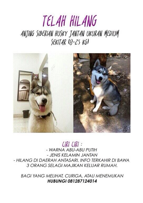 @doniiblis tolong bantu ya share