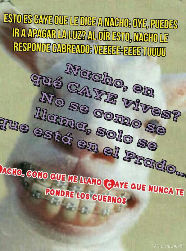 neosucrist's tweet photo. Unos chistecitos para alegrar la tarde... @burguetis88 @cayerelinque7 http://t.co/XGndQ7p9TY