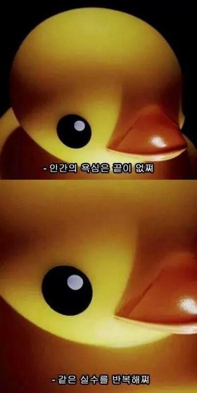 WantU_0911's tweet photo. 3,000트윗되는 날 모드할건데, 그 전에 순수 팔로워 50되면 러버덕 모드한다. @B2st_PA_P http://t.co/UCHOTWypyV