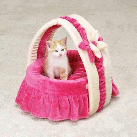 Cheema 170RB (@170rb) on Twitter photo 