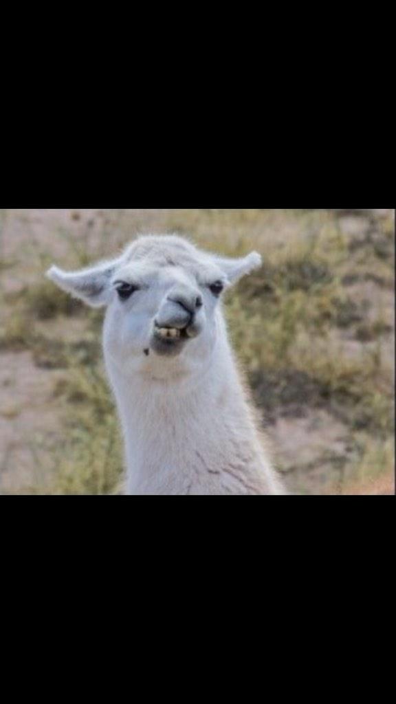 PreHealthLife's tweet image. When you have no idea what's going on in class and you have an exam in two days