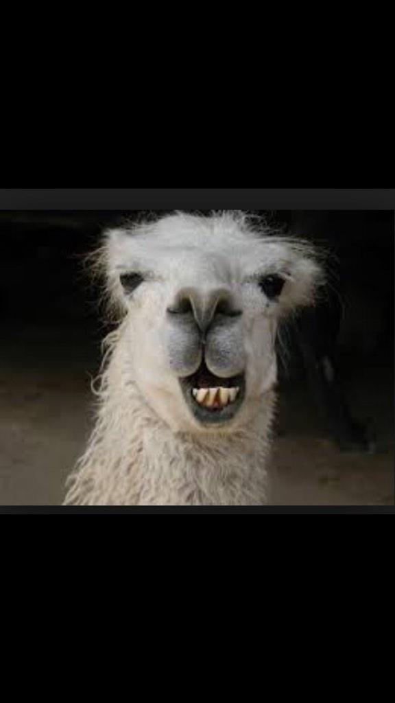 PreHealthLife's tweet image. When you have no idea what's going on in class and you have an exam in two days