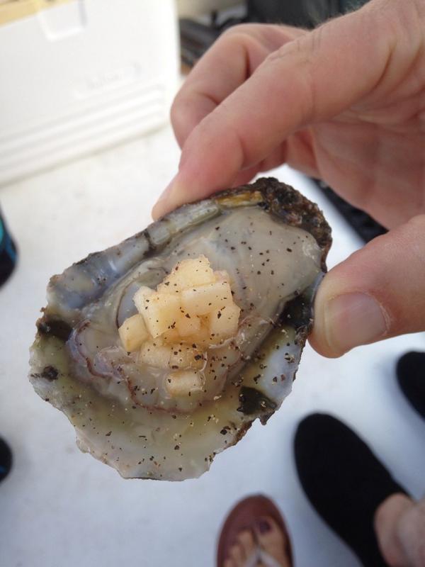 #OysterFarmTour over weekend #VAapple & ginger #mignonette by @JenLudford for @fall_fall @derrickborte #VaOysterTrail