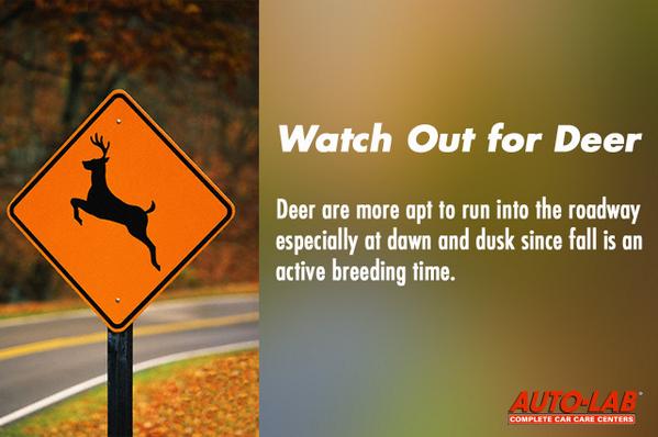 AutoLab_USA's tweet image. #FallDriving #Tips