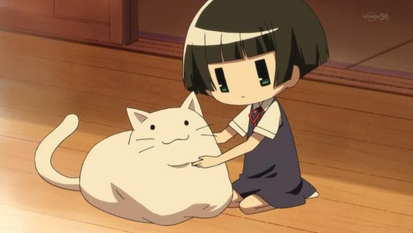 嘲笑のひよこ すすき Twitterren こひな 市松は犬と猫なら 断然猫派なのです このアニメ好きな人rt この可愛さがわかる人rt 可愛いと思ったらrt 繰繰れコックリさん ググコク Gugukoku Http T Co Ewvuwok16h