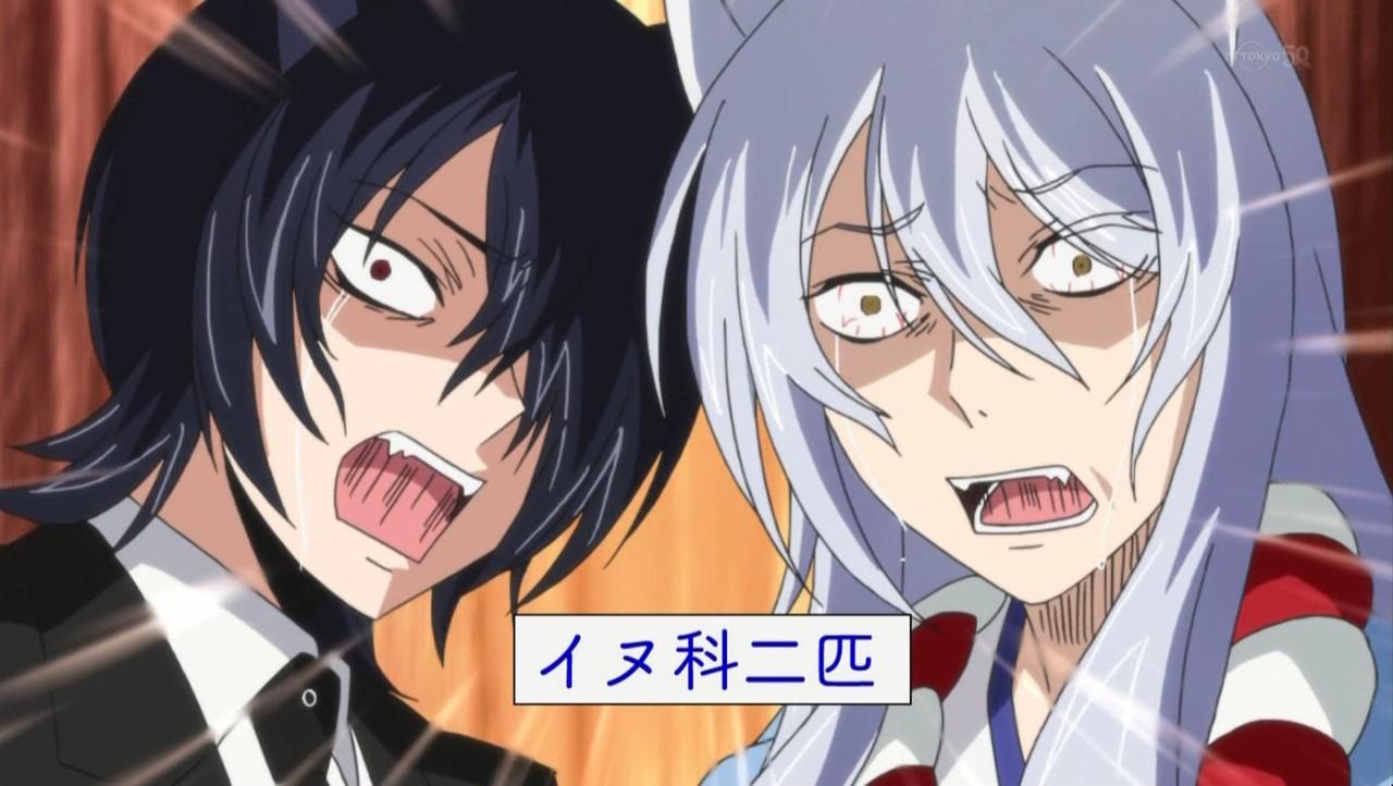 嘲笑のひよこ すすき こひな 市松は犬と猫なら 断然猫派なのです このアニメ好きな人rt この可愛さがわかる人rt 可愛いと思ったらrt 繰繰れコックリさん ググコク Gugukoku Http T Co Ewvuwok16h Twitter