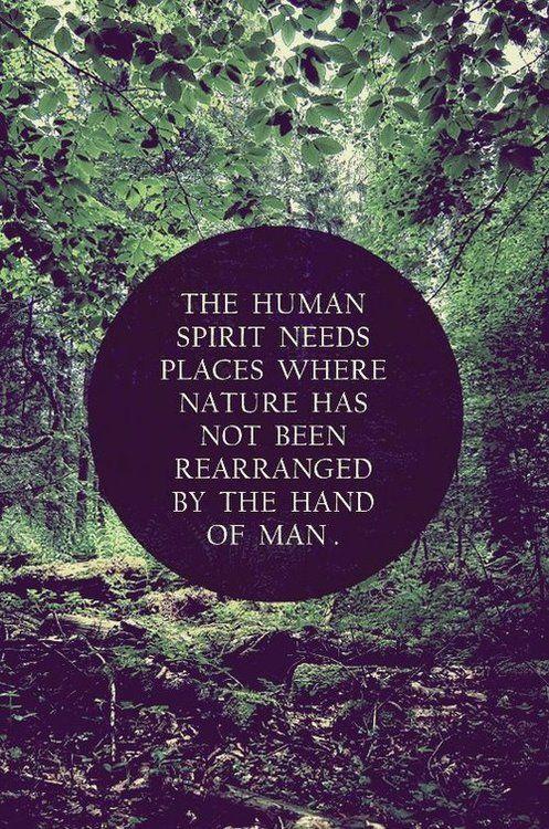ACRESlandtrust's tweet photo. Our thoughts precisely. Did you enjoy a conversation with nature this weekend? http://t.co/joUV6K9weV