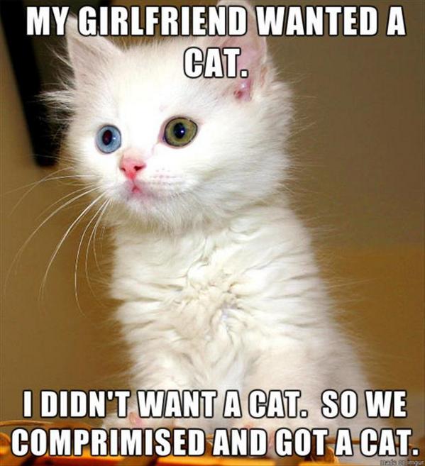derekjarnold's tweet photo. “@MensHumor: Compromising with my girlfriend... http://t.co/HouZ5almRY”@DrakeArnold3