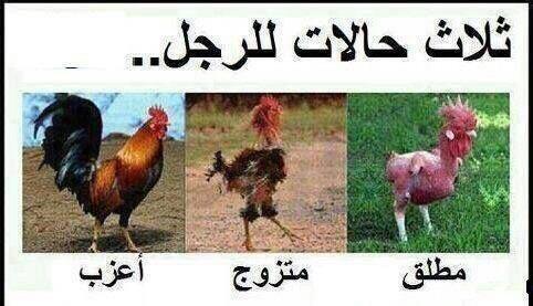 assed alshaik (@ccxzcc9087) on Twitter photo 