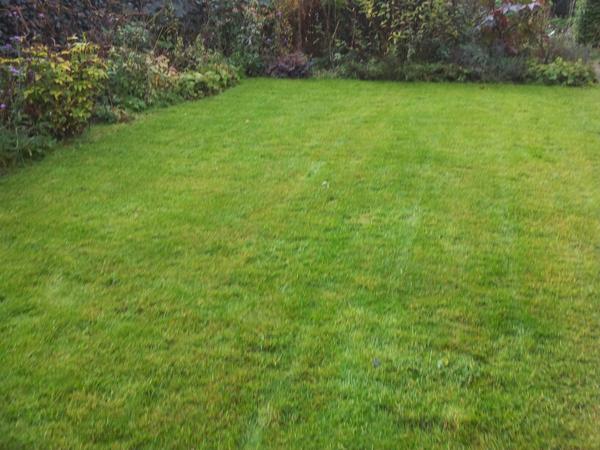 Vandaag alweer voor de laatste keer dit jaar het gras gemaaid?