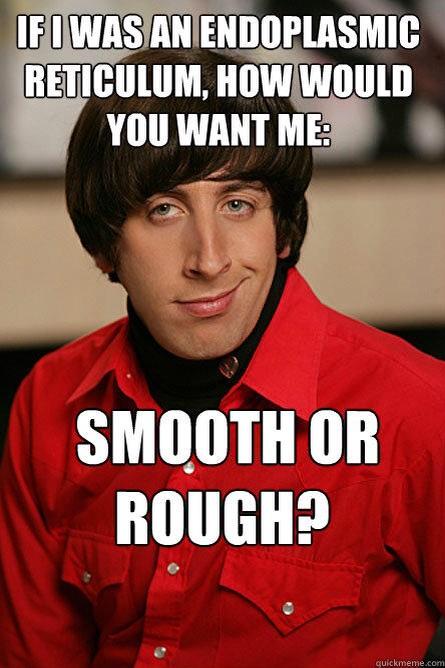 ENDORETICULUM1's tweet photo. #endoplasicrtiulum #apbio #organellewars  #endoswagicrticulum http://t.co/27ZmDmodza