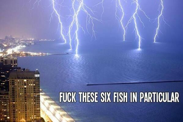 담아간 이미지 고유 주소