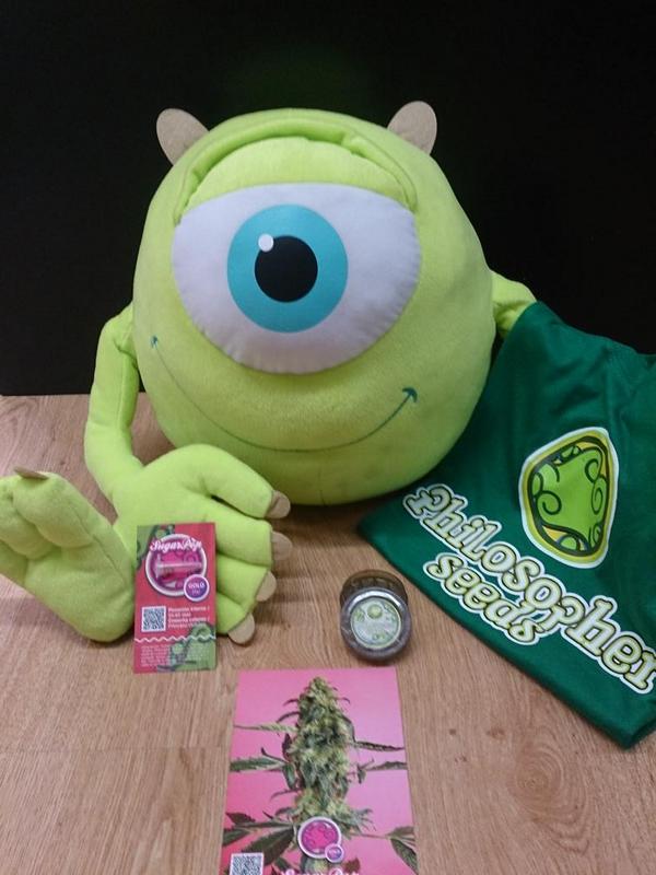 PhiloSeeds's tweet photo. Busca el tuit con esta imagen en @ositoFumonOFI Y PARTICIPA EN NUESTRO SORTEÓ http://t.co/JGuLjoFnEd