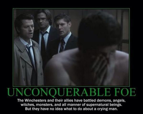 Cupid (@letshavehugs) on Twitter photo 