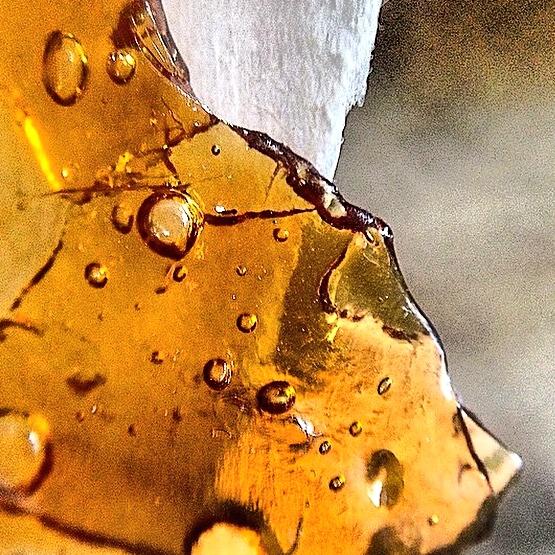 Dabsamakerdance's tweet photo. 💛⚡️⚡️⚡️🍯⚡️⚡️⚡️💛
#Dabsamakerdance
#Dabsamakerdance
@DabDaily @iDont_4get @Shesmokes1 @TheSativaDivas @stonerhut 😚💨 http://t.co/qKHAvggdM4