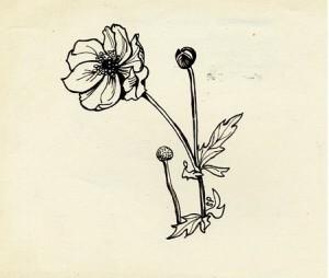 Happy birthday, Sylvia Plath! Here is a selection of the poet s pen-and ink work:  