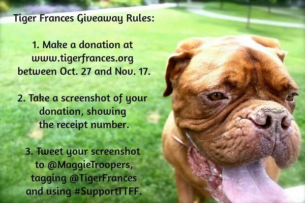 TheMLHerald's tweet photo. @gnarlycat @Omundson @TigerFrances @Psych_USA follow the official rules and you will see where and how! http://t.co/Xal3ehmyNK