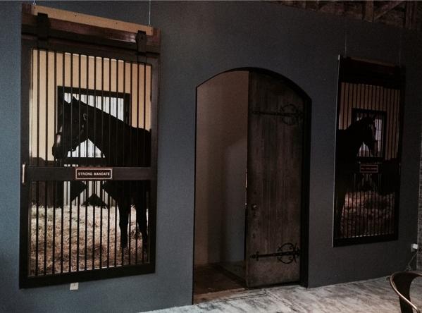 Our two new stallions are all the rage at #atasteofthreechimneys