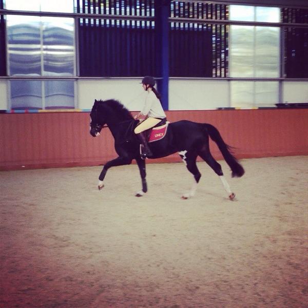 Polly Gredley tweet media