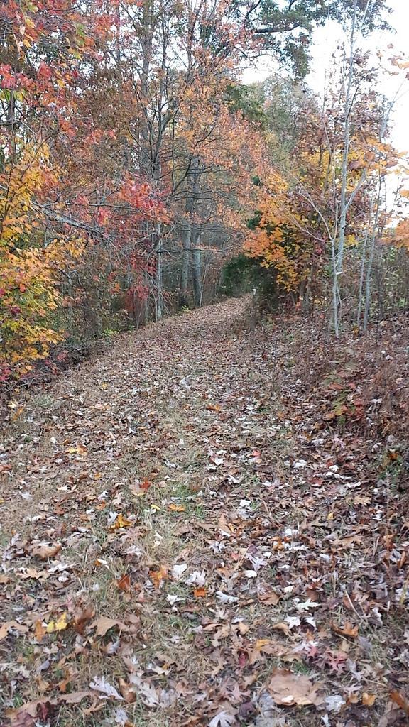 _jennamardis's tweet photo. So gorgeous out here❤ #Runnersphere http://t.co/moS0kYGi0P