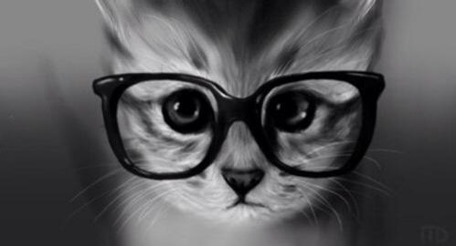 fxchmeow's tweet photo. Good night kittens💖 http://t.co/Hck8g7TmFE