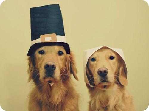 Thanksgiving is in exactly one month! #gobblegobble