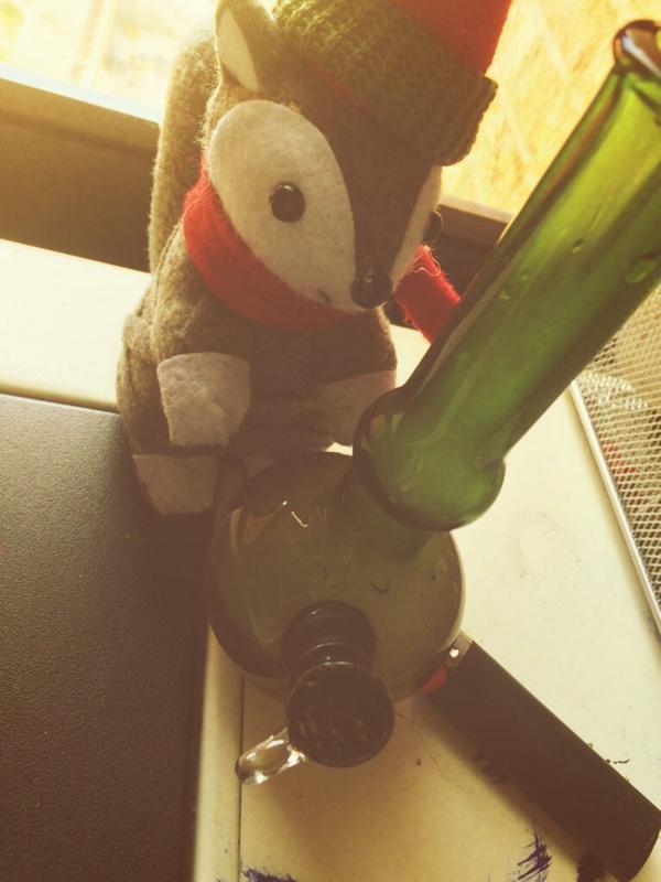 SquirrelHigh's tweet photo. Keep rollin' my friends http://t.co/9GPpbppyMt