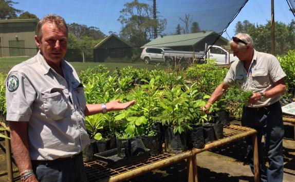 Dids and Rosco (mutiny on the Bounty descendants) see Green Army and 20M Trees opportunities <a href="/Norfolk_Island_/">Norfolk Island </a>